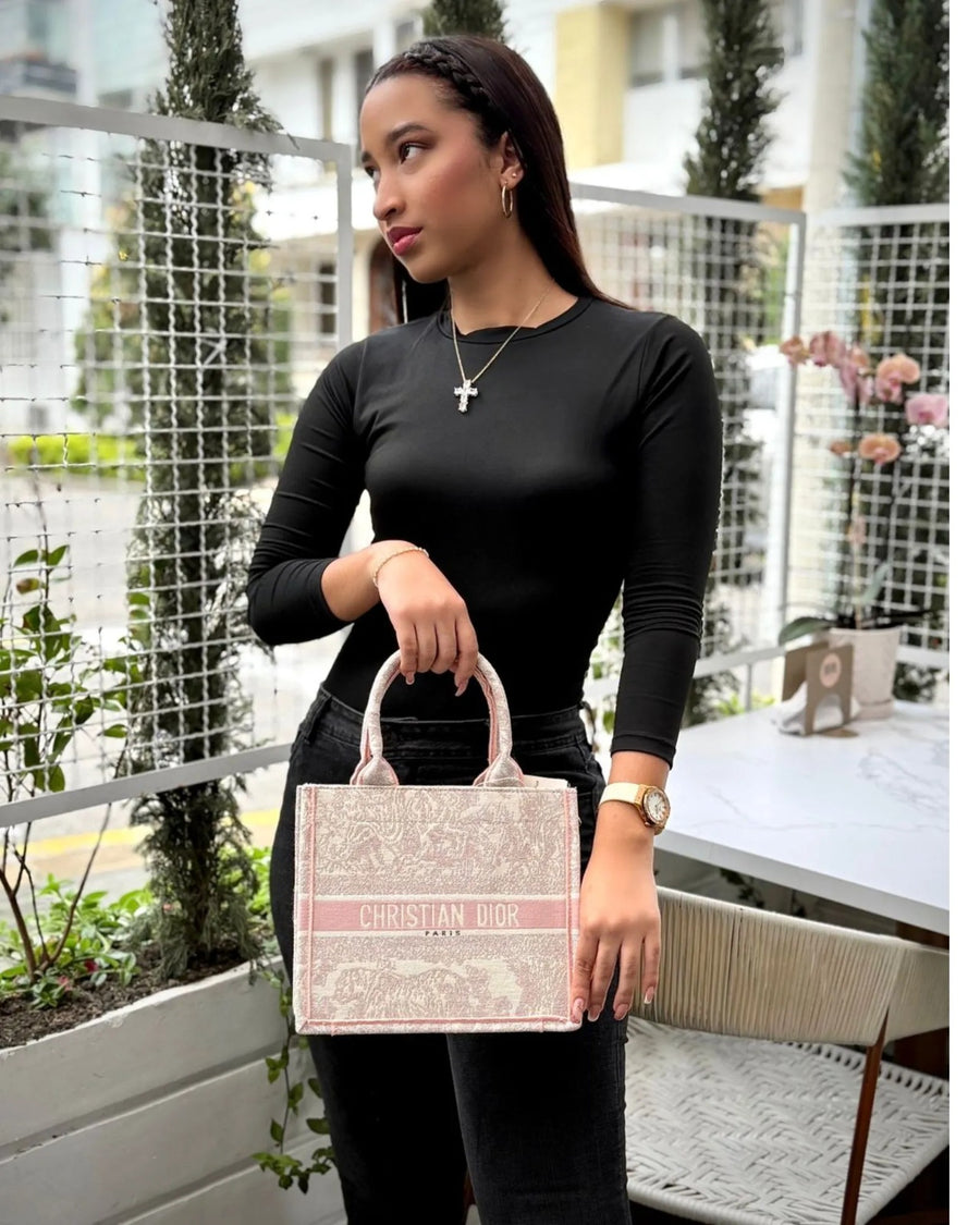Mini Tote Dior Bordado